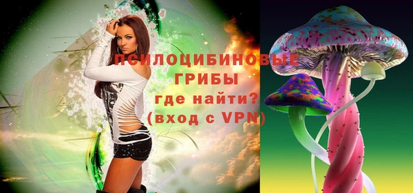 метадон Арсеньев