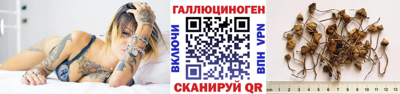 хочу наркоту  Мариинск  Псилоцибиновые грибы мухоморы 